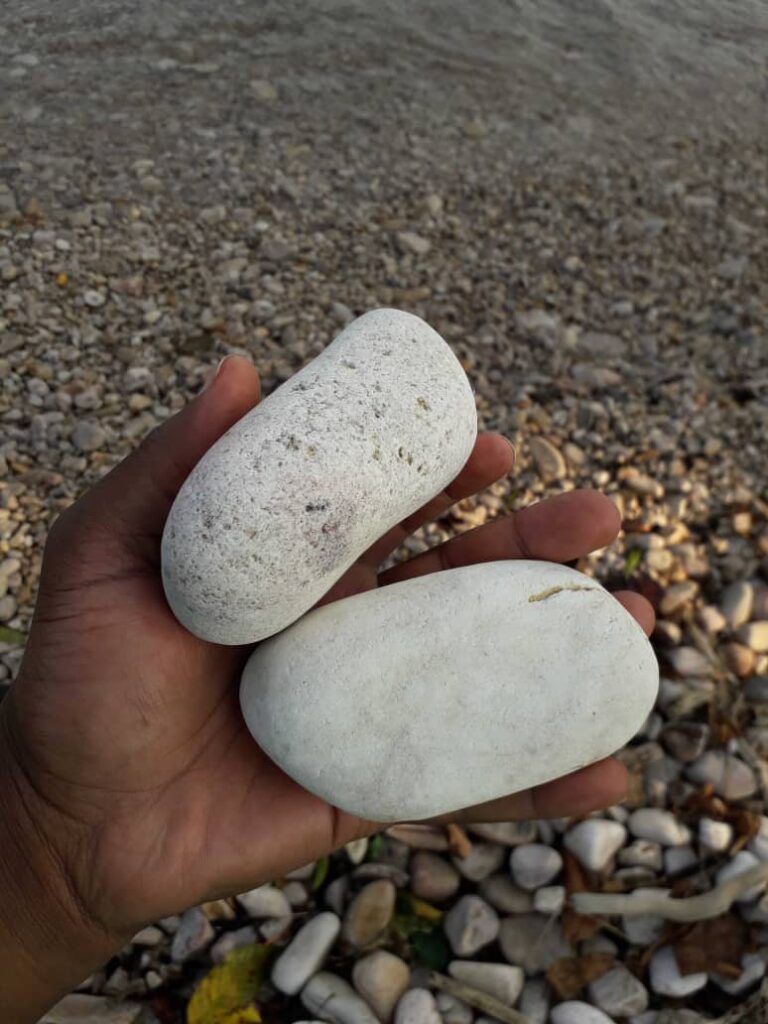 Beach walk souvenirs