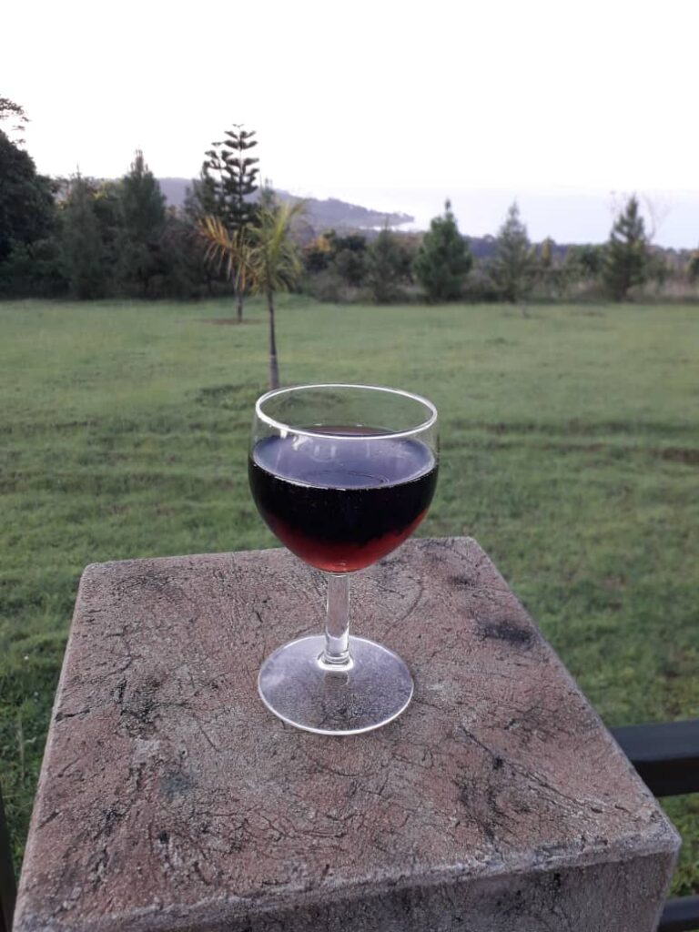 Enjoy a glass of wine as you take in the view